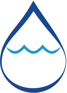 FLASH Logo
